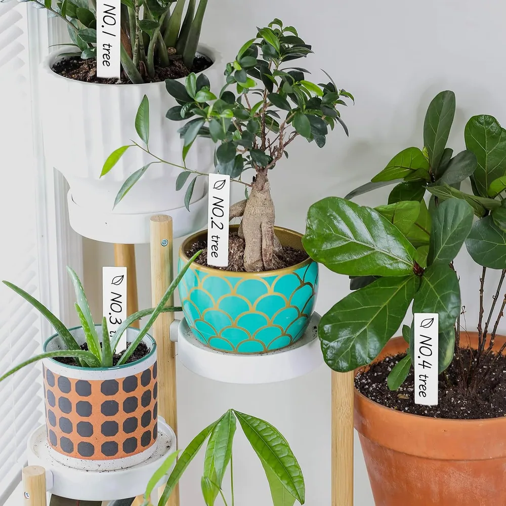 House plants on a stand, each pot marked with a white stake label