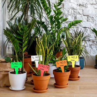Potted plants by a brick wall marked with colored T-type tags
