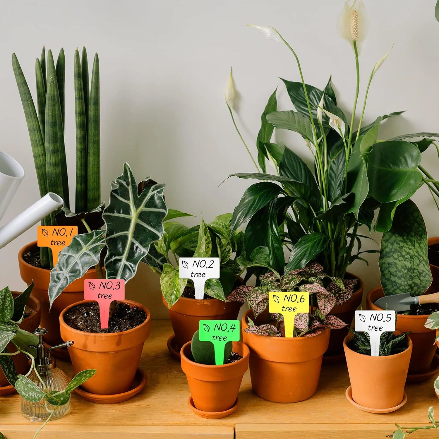 Terracotta pots on a table marked with colored AMORNING T-type tags